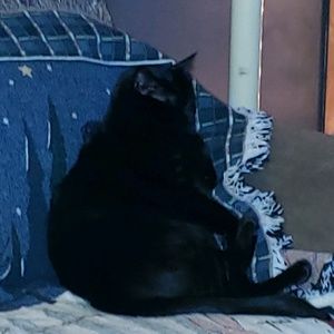 Meet your Posher, Seana